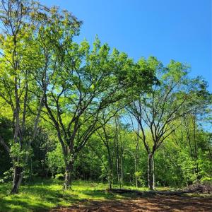 Photo #5 of Lot 30 John Morgan, Gold Hill, NC