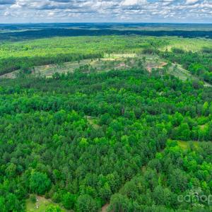 Photo #5 of Woods Ferry, Carlisle, SC