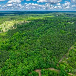 Photo #8 of Woods Ferry, Carlisle, SC