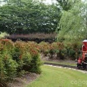 Photo #10 of Ebenezer, Kannapolis, NC