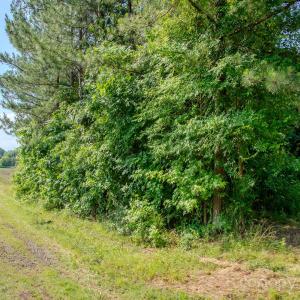 Photo #30 of 4794 Cauble, Mount Pleasant, NC