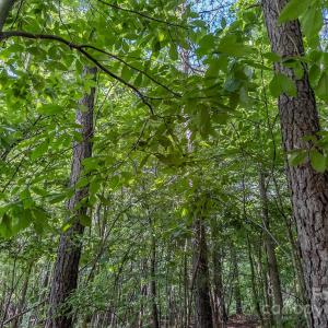 Photo #39 of 4794 Cauble, Mount Pleasant, NC