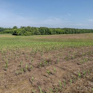Photo #2 of 4794 Cauble, Mount Pleasant, NC