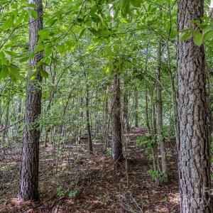 Photo #37 of 4794 Cauble, Mount Pleasant, NC