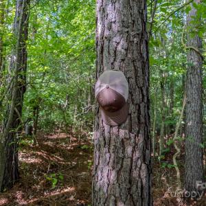 Photo #36 of 4794 Cauble, Mount Pleasant, NC