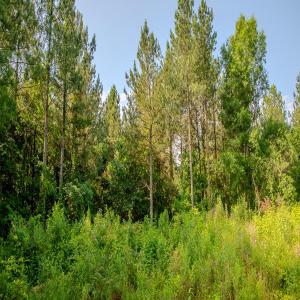 Photo #12 of 4794 Cauble, Mount Pleasant, NC