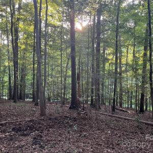 Photo #7 of 229 Ballard, Fort Mill, SC