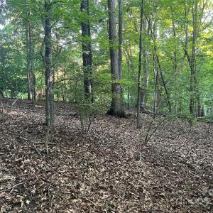 Photo #11 of 229 Ballard, Fort Mill, SC