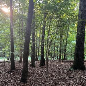 Photo #9 of 229 Ballard, Fort Mill, SC