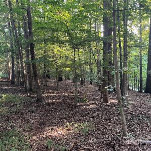 Photo #8 of 229 Ballard, Fort Mill, SC
