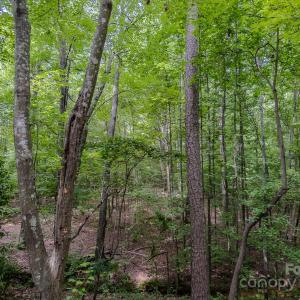 Photo #16 of Main, Locust, NC