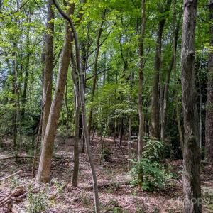 Photo #23 of Main, Locust, NC