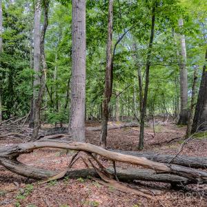 Photo #14 of Main, Locust, NC