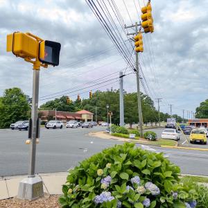 Photo #8 of Main, Locust, NC