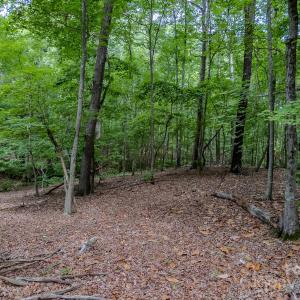 Photo #20 of Main, Locust, NC