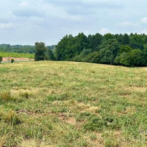 Photo #21 of Stony Gap, Albemarle, NC