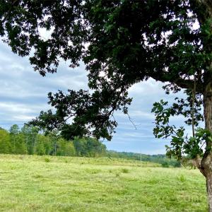 Photo #12 of Stony Gap, Albemarle, NC
