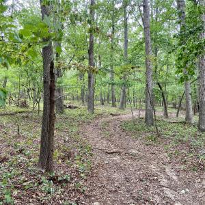 Photo #16 of Stony Gap, Albemarle, NC