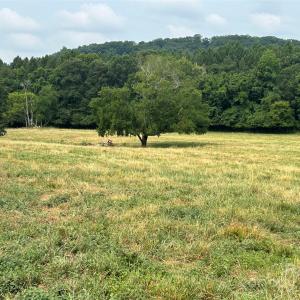 Photo #4 of Stony Gap, Albemarle, NC