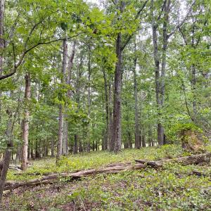 Photo #15 of Stony Gap, Albemarle, NC