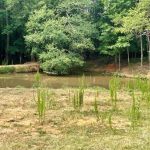 Photo #18 of Stony Gap, Albemarle, NC
