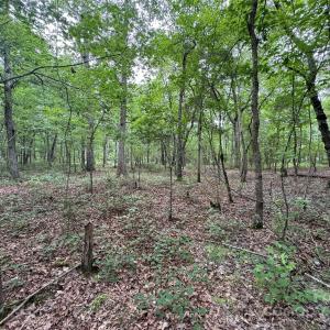 Photo #3 of Reeves Island, Gold Hill, NC