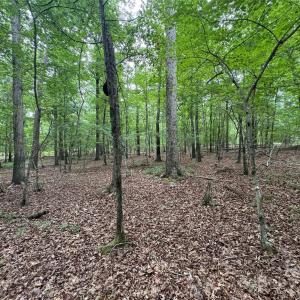 Photo #2 of Reeves Island, Gold Hill, NC