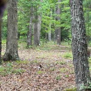 Photo #4 of Reeves Island, Gold Hill, NC