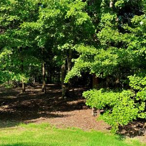 Photo #3 of 142 Long, New London, NC