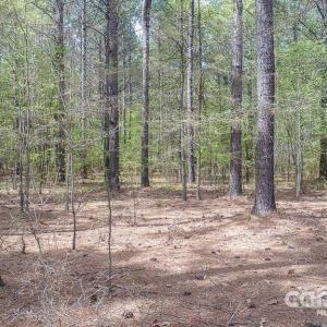 Photo #1 of 5510 Army, Marshville, NC