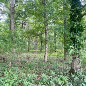 Photo #14 of Heglar, China Grove, NC