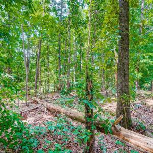 Photo #12 of 5174 Davidson, Davidson, NC