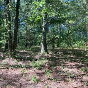 Photo #1 of 1824 Sportsman, Morven, NC