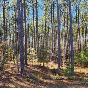 Photo #4 of 3331 Sherman, Lancaster, SC