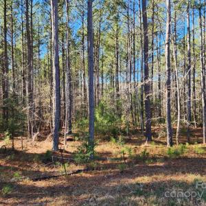 Photo #2 of 3331 Sherman, Lancaster, SC