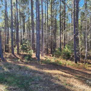 Photo #1 of 3331 Sherman, Lancaster, SC