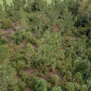 Photo #18 of 110 Haywood Cemetery, Rockingham, NC