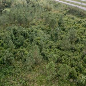 Photo #13 of 110 Haywood Cemetery, Rockingham, NC