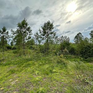 Photo #8 of 110 Haywood Cemetery, Rockingham, NC