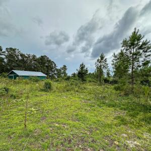 Photo #23 of 110 Haywood Cemetery, Rockingham, NC