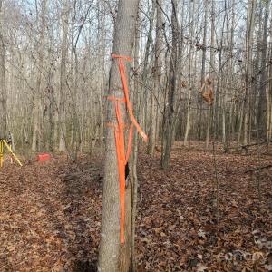 Photo #3 of 16433 Silver, Oakboro, NC