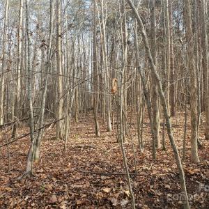 Photo #4 of 16433 Silver, Oakboro, NC