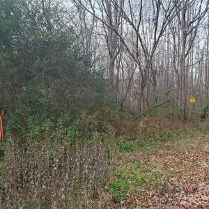 Photo #2 of 16433 Silver, Oakboro, NC