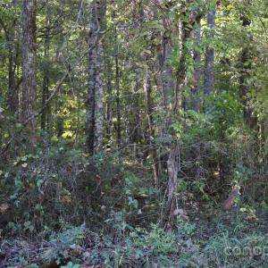 Photo #2 of Tobas, Rockwell, NC