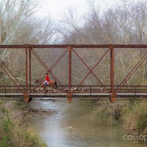 Photo #6 of Pacolet, Landrum, SC