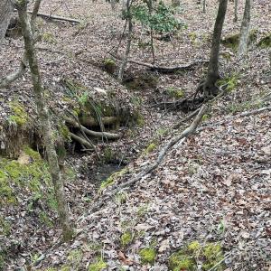 Photo #8 of 2390 Baron Dekalb, Camden, SC