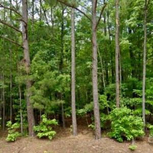 Photo #1 of 2390 Baron Dekalb, Camden, SC
