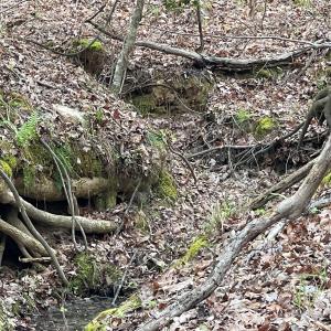 Photo #3 of 2390 Baron Dekalb, Camden, SC