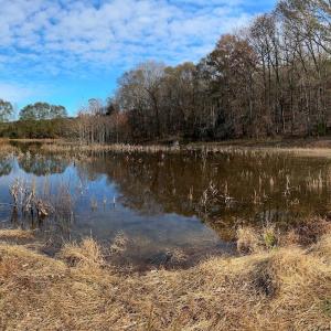 Photo #10 of 5690 Rocky Mount Church, Polkton, NC