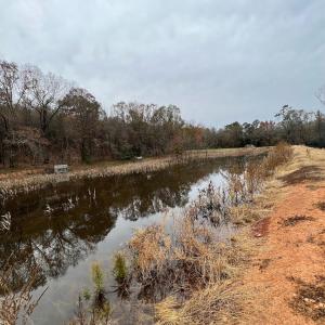 Photo #5 of 5690 Rocky Mount Church, Polkton, NC